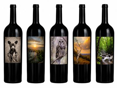 Artist reception & bottle signing…